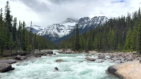 Mountain river flows through trees in landscape with snow-capped peaks  Stock Footage 338284836