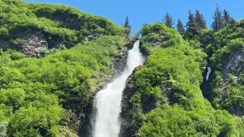 Mountain river flows through trees in landscape with snow-capped peaks  Stock Footage 338284838