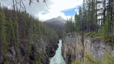 Mountain river flows through trees in landscape with snow-capped peaks  Stock Footage 338284863