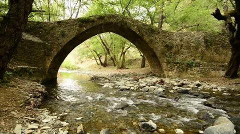 Mountain river flows under the medieval Venetian bridge in the forest Stock-Footage 63143621