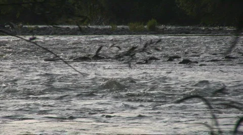 Mountain river Video stock 247482