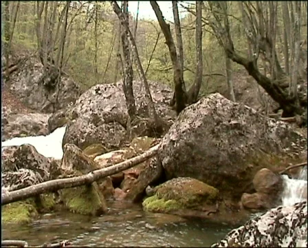 Mountain river Stock Footage 305126