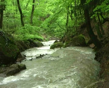 Mountain river Stock Footage 446170