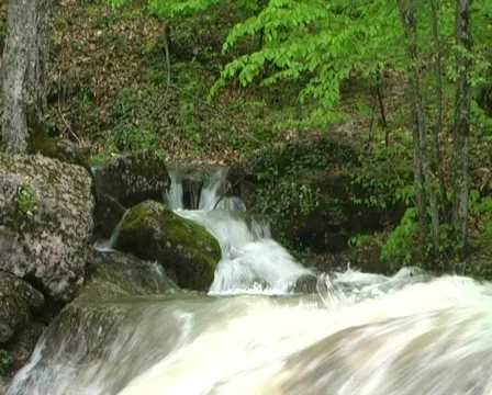Mountain river Stock Footage 446210