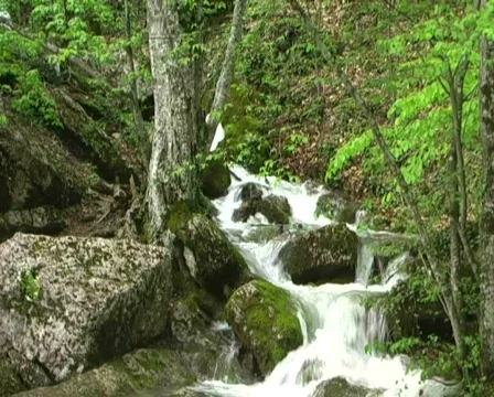Mountain river Stock Footage 446268