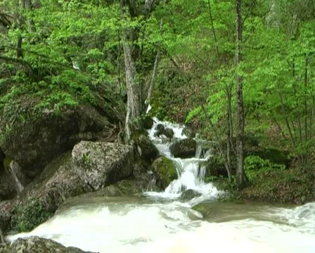 Mountain river Stock Footage 446357