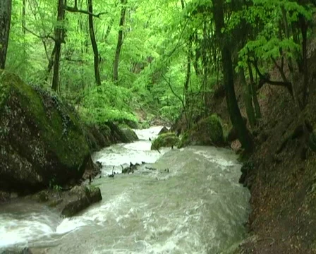 Mountain river Stock Footage 479272