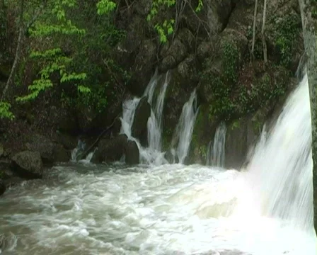 Mountain river Stock Footage 479387