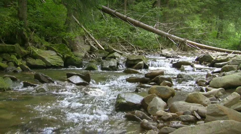 Mountain river Video stock 498377