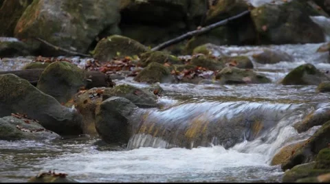 Mountain river Stock Footage 910114