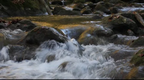 Mountain river Stock Footage 910119