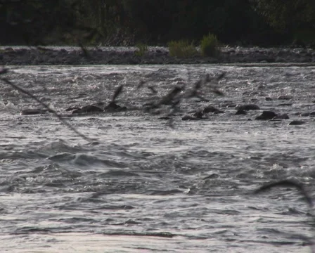 Mountain river Stock Footage 1046806