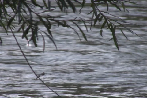 Mountain river Stock Footage 1047331