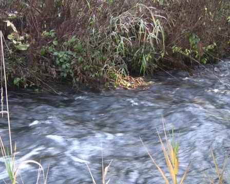 Mountain river Stock Footage 1047513