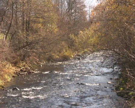 Mountain river Stock Footage 1047525