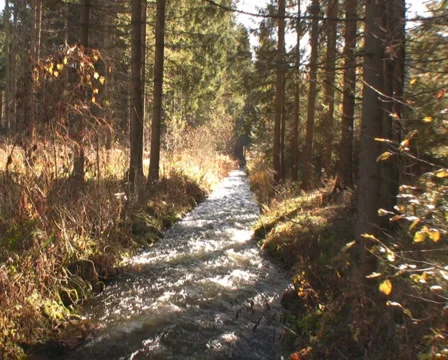 Mountain river Stock Footage 1047559