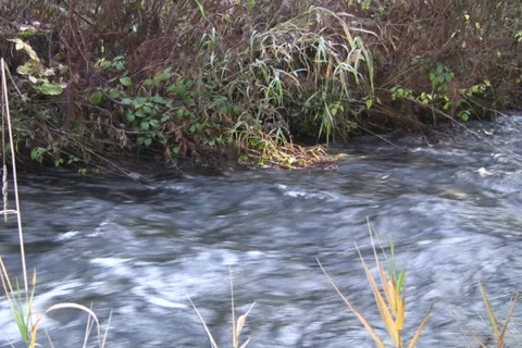 Mountain river Video stock 1048454