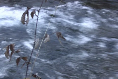 Mountain river Stock Footage 1048642