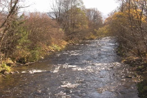 Mountain river Stock Footage 1048889