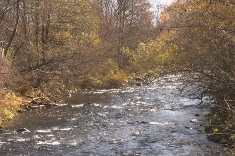 Mountain river Stock Footage 1048933
