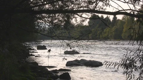 Mountain river Stock Footage 2878017