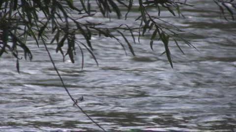 Mountain river Stock Footage 2878147