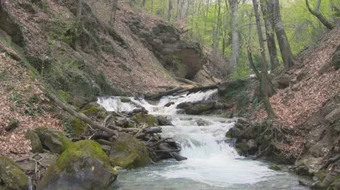 Mountain river Stock Footage 11253573