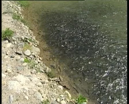 Mountain river Видео 11952246