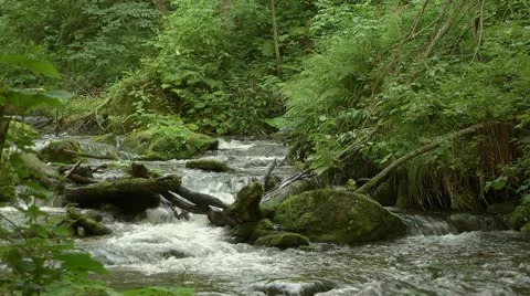 Mountain river Stock Footage