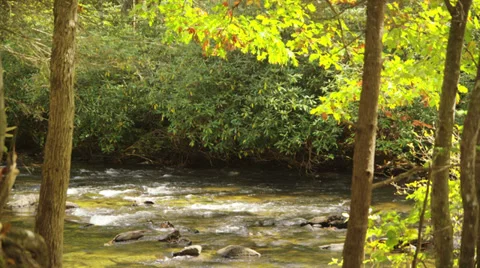 Mountain river Stock-Footage 32065677