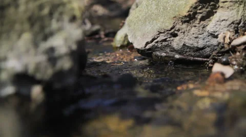 Mountain River Stock Footage 37769467