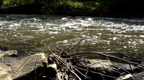 Mountain River 動画素材 38438887