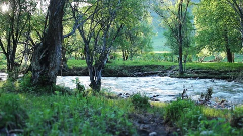 Mountain river Stock Footage 39717831