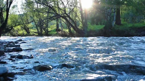 Mountain river Stock Footage 39718025