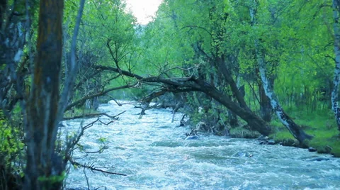 Mountain river Stock Footage 39718656