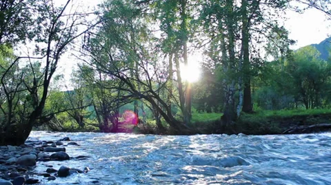 Mountain river 스톡 동영상 39718775