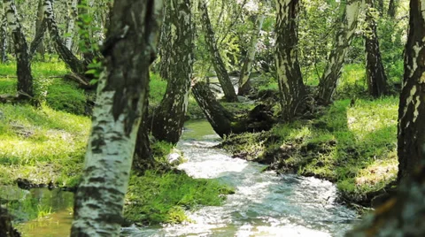 Mountain river Stock Footage 39718861