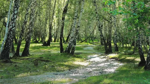 Mountain river Stock Footage 39718995