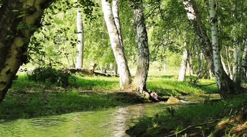 Mountain river Stock Footage 39719011