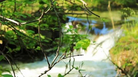 Mountain river Stock Footage 39719021