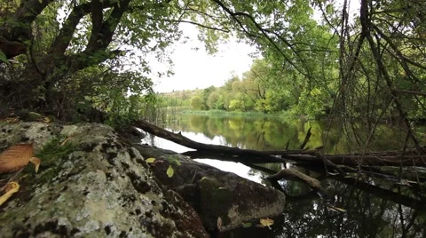 Mountain river Stock Footage 42178681