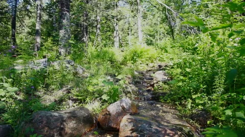 Mountain River 스톡 동영상 42671276