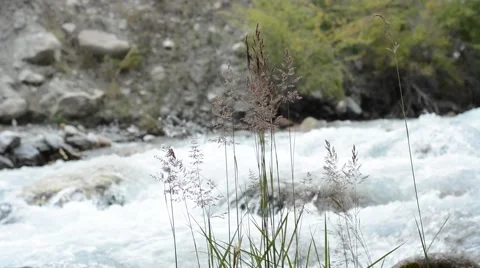 Mountain river Stock Footage 42704711