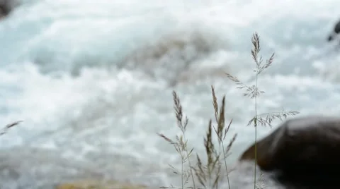 Mountain river Stock Footage 42704903