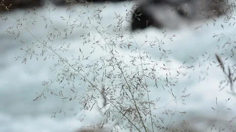 Mountain river Stock Footage 42705242