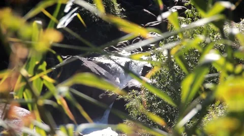 Mountain River Stock Footage 45686688