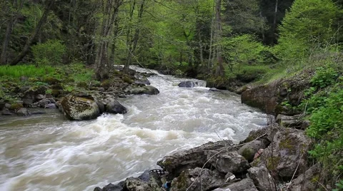 Mountain river Stock Footage 49859587