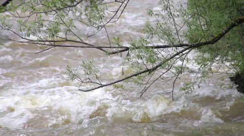 Mountain River Stock Footage 50827189