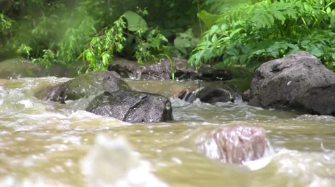 Mountain River Stock Footage 50868910