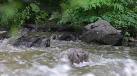 Mountain River Stock Footage 50869653